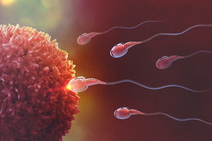 Oocyte donation