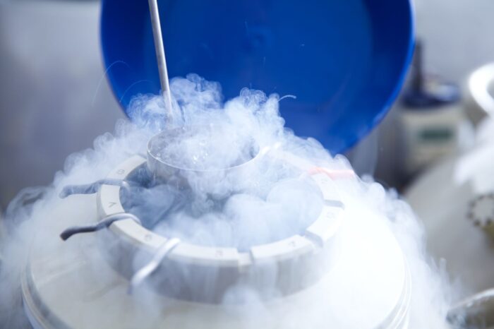 Oocyte Freezing